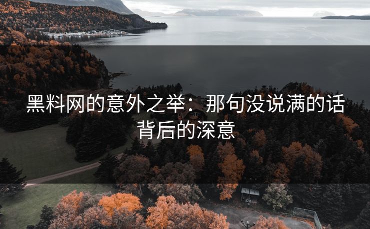 黑料网的意外之举:那句没说满的话背后的深意