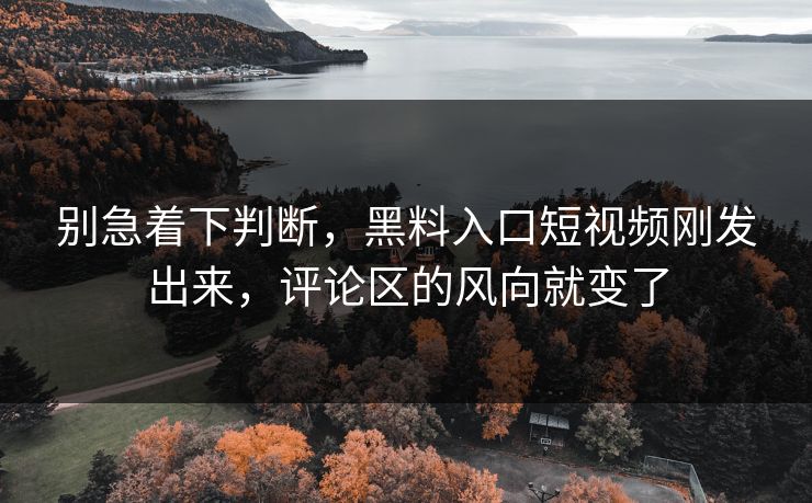 别急着下判断，黑料入口短视频刚发出来，评论区的风向就变了