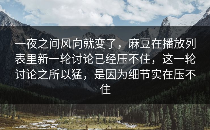 一夜之间风向就变了,麻豆在播放列表里新一轮讨论已经压不住,这一轮讨论之所以猛,是因为细节实在压不住